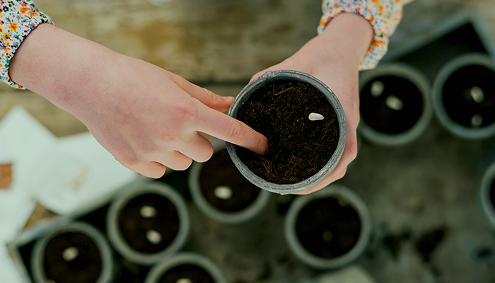 Woman testing new soil for plant